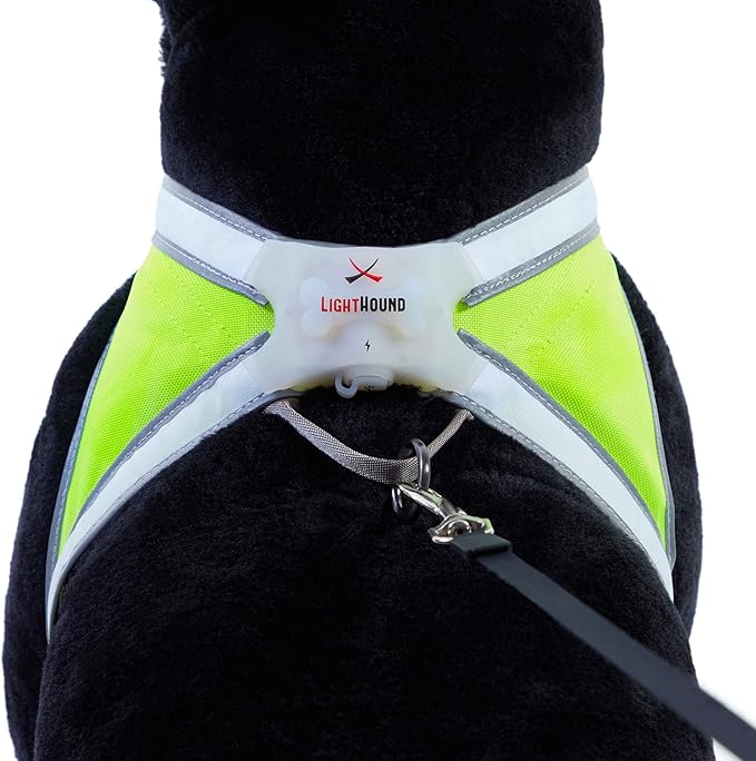 Noxgear LightHound – Revolutionary Illuminated and Reflective Harness for Dogs Including Multicolored LED Fiber Optics (USB Rechargeable, Adjustable, Lightweight, Rainproof) (Large)-Mewly Pet