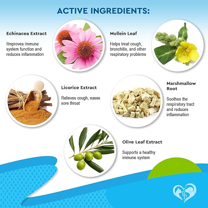 Kennel Cough Treatment & Natural Infection Medicine for Dogs & Cats - Respiratory & Cold Cough Relief - Collapse Trachea & Cat Asthma Support - Made in USA-Mewly Pet