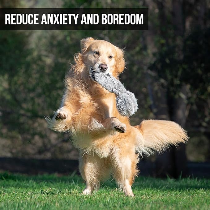 Hyper Pet Doggie Tail & Unicorn Pal Interactive Plush Dog Toys - 2 Pack Value Pack (Interactive Toy That Wiggles, Vibrates & Barks Dog Toys for Boredom & Stimulating Play) Colors May Vary-Mewly Pet