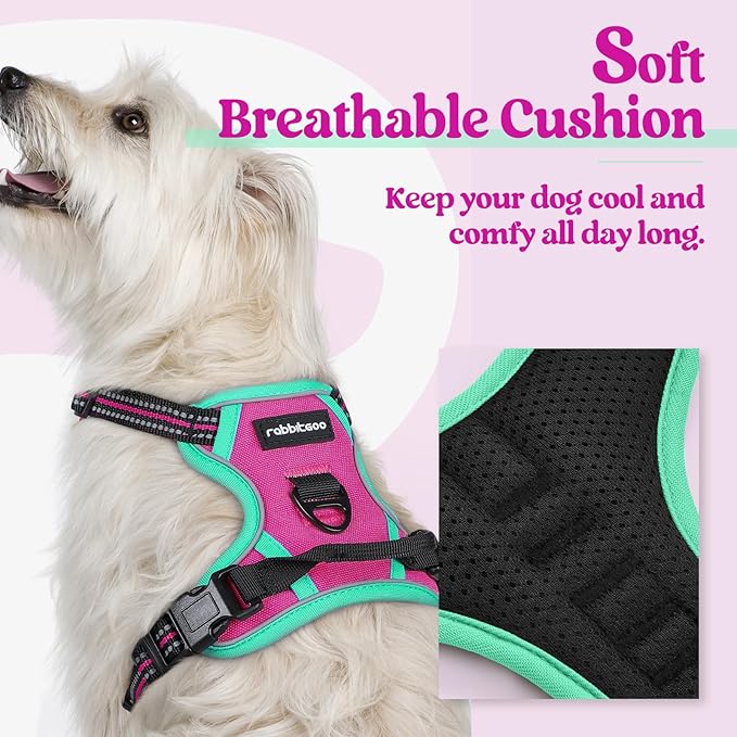 rabbitgoo Dog Harness No Pull with 2 Leash Clips, Adjustable Soft Padded, Reflective Oxford No Choke Pet Vest with Easy Control Handle for Large Dogs, Hot Pink & Turquoise, XS-Mewly Pet