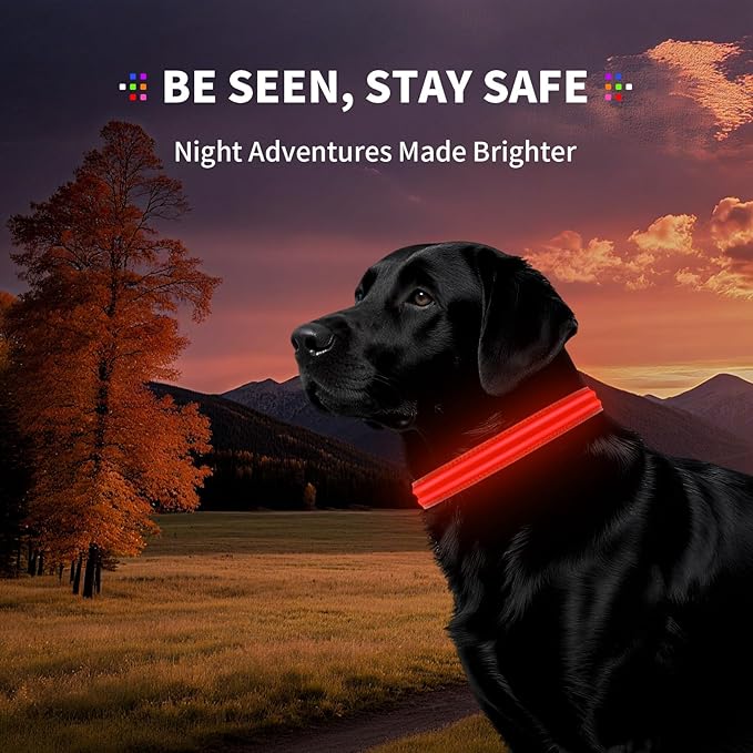 LED Dog Collar with Metal Buckle - USB Rechargeable Glow Collar for Dogs, Waterproof Light Up Dog Collar w/Reflective Strips - Adjustable Night Safety Collars by PetIsay(Red,Medium)-Mewly Pet