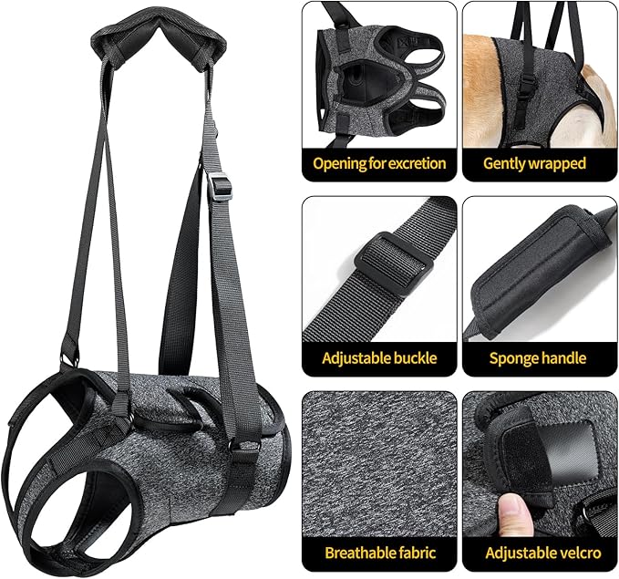 HEYWEAN Dog Sling for Large Dogs Hind Leg Support Harness Ideal for Elderly Injured Arthritic Dogs Provides Rehabilitation Aid for Weak Back Legs Comfortable and Durable Design-Mewly Pet
