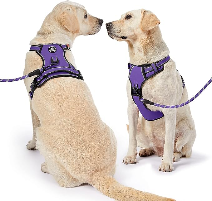 NESTROAD No Pull Dog Harness,Adjustable Oxford Dog Vest Harness with Leash,Reflective No-Choke Pet Harness with Easy Control Soft Handle for Large Dogs(X-Large,Purple)-Mewly Pet