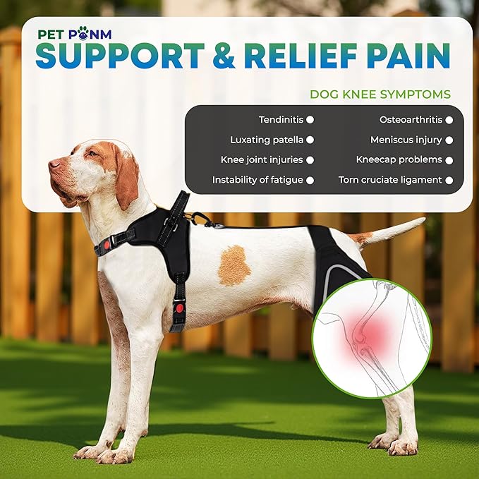 Comfortable Dog Knee Brace for Both Hind Legs with Harness - for ACL Tear, Luxating Patellae, Osteoarthritis & Instability - for Recovery & Injury Prevention in Active/Aging Dogs - (XSmall)-Mewly Pet