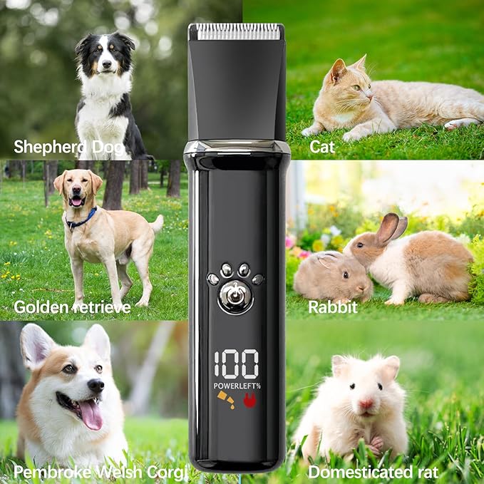 Dog Clippers Grooming Kit - Low Noise, Cordless Electric Trimmer with Nail Grinder for Dogs & Cats, 4 in 1 Rechargeable Clippers for Paws, Ears, Face and Matted Hair (Black)-Mewly Pet