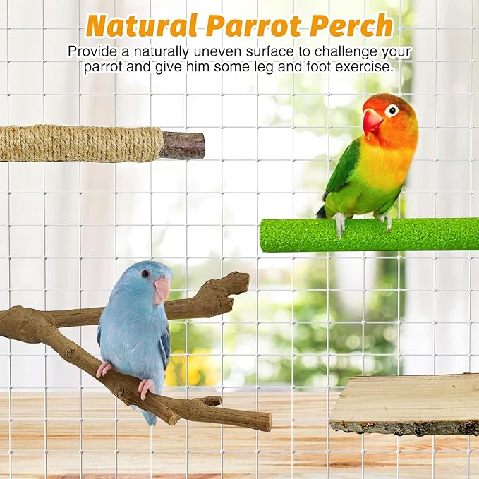 kathson 5pcs Natural Parrot Perch for Cage Wooden Bird Perches Grape Bird Stick Parakeet Climbing Standing Branches Toy Chewable Cage Accessories for Small Budgies Cockatiels Lovebirds Budgies-Mewly Pet