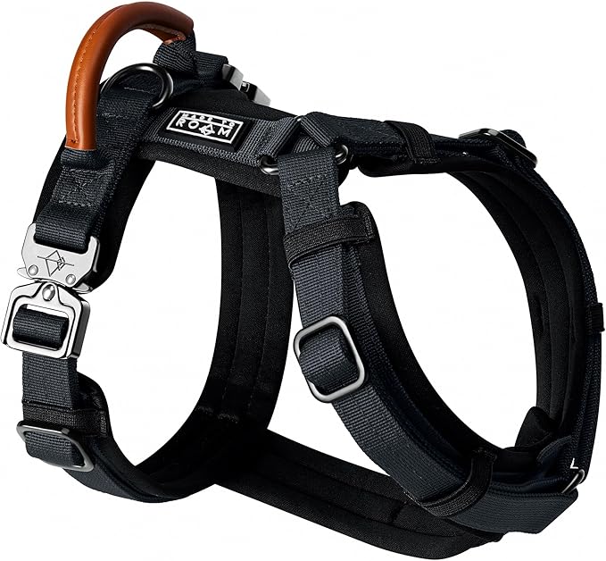 MADE TO ROAM Premium Explorer Harness - Y-Shaped Dog Harness with Adjustable Durable Nylon, Soft Padding, Metal Buckles and Leather Handle for Small, Medium, Large Dogs (New York Afterlight, Size 7)-Mewly Pet