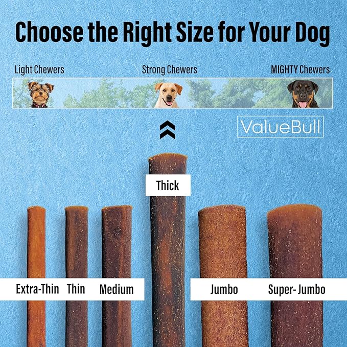 ValueBull Collagen Sticks for Dogs, 12 Inch Thick Chews, Natural Long-Lasting Dog Treats, 50 Count Bulk Pack - Supports Joints, Skin & Coat with Chondroitin & Glucosamine-Mewly Pet