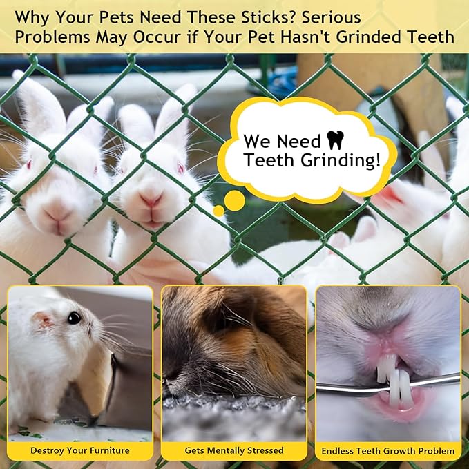 600g Organic Apple Sticks Small Animals Molar Wood Treats Toys for Chinchillas Guinea Pig Rabbits Hamster Gerbil Parrot Bunny Chew Stick Toys, 21.2 OZ-Mewly Pet