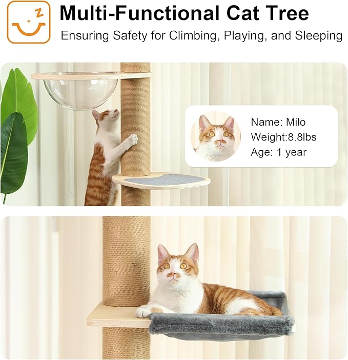 FUKUMARU Floor to Ceiling Cat Tree, 6 Level Adjustable Height (5.7-9.8 ft) Climbing Tower with Thickened Scratching Posts, Cats Activity Center with Transparent Capsule and Cozy Hammock-Mewly Pet