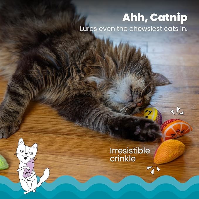 Catstages Dental Fruit Wedges 4 Pk, Soft and Textured Catnip Chew Toys That Help Clean Teeth, Multicolored-Mewly Pet