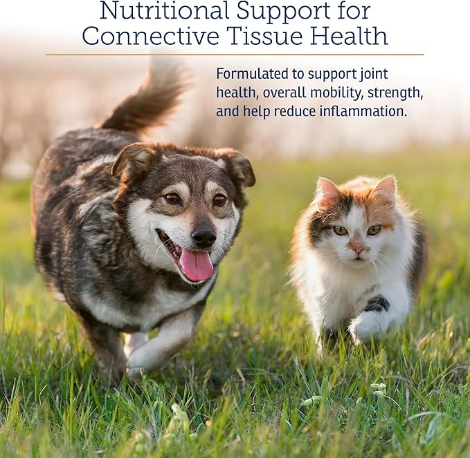 Rx Vitamins NutriFlex for Cats & Dogs - Glucosamine for Dogs Hip and Joint Supplement - with Bovine Collagen and Chondroitin - Joint Pain Relief & Anti Inflammatory for Dogs - Beef Liver (90 Chews)-Mewly Pet