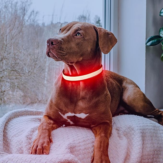 Flashseen LED Dog Collar, Light Up Dog Collar USB Rechargeable, Brightest Dog Lights for Night Walking, Adjustable Dog Collar Light for Dog Safety(Small, Ruby Red)-Mewly Pet