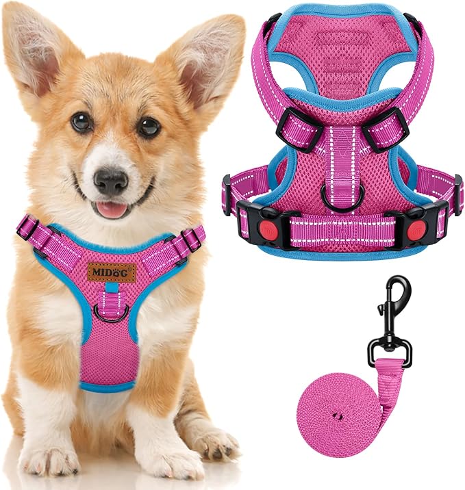 MIDOG No-Pull Dog Harness | Adjustable & Reflective Pet Harness Leash Set for Small Medium Large Dogs Walking, Training| No Choke, Front Clip, Soft Padded Vest with Easy Control Handle - Pink, S-Mewly Pet