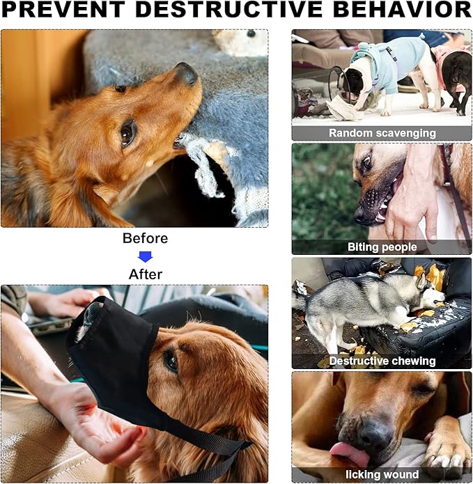 Dog First Aid Kit - Pet First Aid Kit for Dogs Pet Emergency Kit with Grooming Hammock Harness Nail Clipper First Aid Supplies for Home Camping-Mewly Pet