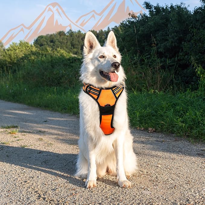 Eagloo Dog Harness for Large Dogs, No Pull Service Vest with Reflective Strips and Control Handle, Adjustable and Comfortable for Walking, No Choke Pet Harness with 2 Metal Rings, Orange, XL-Mewly Pet