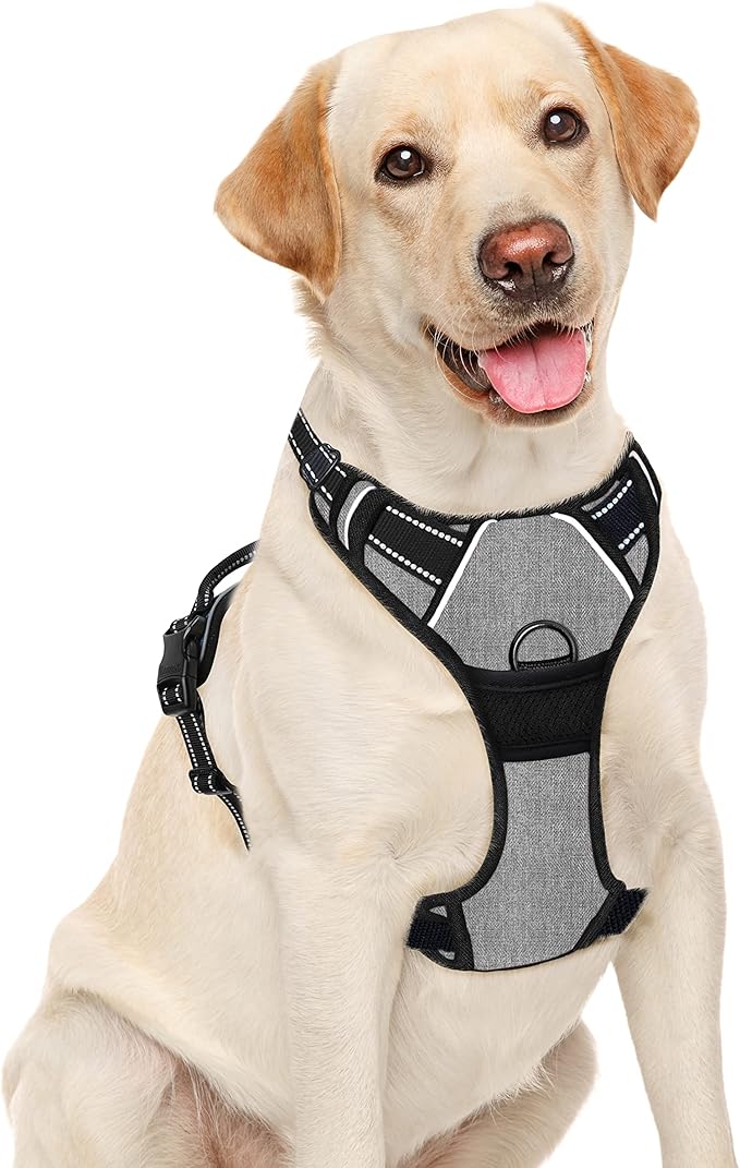 BARKBAY No Pull Dog Harness Large Step in Reflective Dog Harness with Front Clip and Easy Control Handle for Walking Training Running(Flint Gray,L)-Mewly Pet