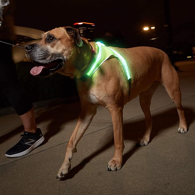 Noxgear LightHound – Revolutionary Illuminated and Reflective Harness for Dogs Including Multicolored LED Fiber Optics (USB Rechargeable, Adjustable, Lightweight, Rainproof) (X-Large)-Mewly Pet