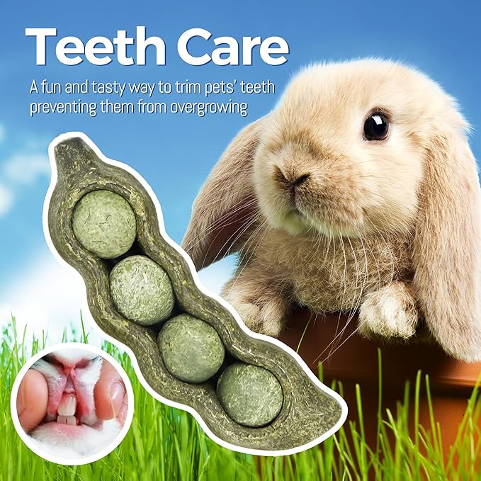 TEEWY 3PCS Guinea Pig Chew Toys, Prevent Teeth Overgrowth, Natural Vegetables and Timothy Grass, Hamster Chew Toys, Guinea Pig Toys, Chinchilla Toys, Peapod-Shaped-Mewly Pet