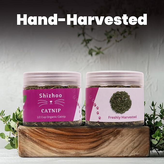Catnip for Cats with Leaves and Flowers 100% Natural and Organic Catnip Premium Cat Nip for Cats & Kittens Used as a Snack or Refillable Catnip Treats for Cats (1/2 Cup, 2 Ounces)-Mewly Pet