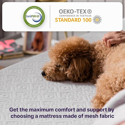 NapQueen Full Mattress, 6 Inch Elizabeth Cooling Gel Memory Foam Mattress, Full Bed Mattress in a Box, CertiPUR-US Certified, Medium Firm, Breathable Soft Fabric Cover