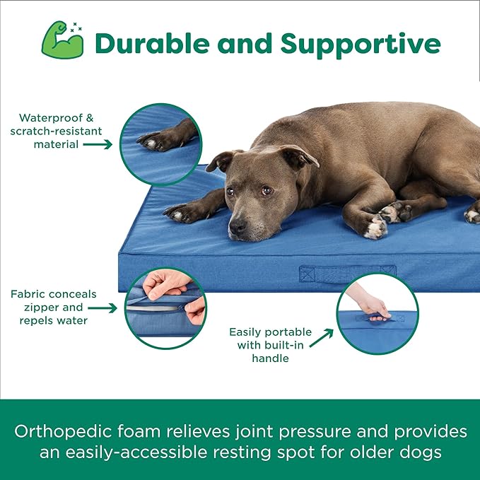 FurHaven Cooling Dog Bed – XXL Foam Mattress for Joint Pain Relief, Waterproof Liner, Removable Washable Cover, Durable for Outdoor Use, Deluxe Grid Indoor/Outdoor Bed – Blue, Jumbo Plus-Mewly Pet