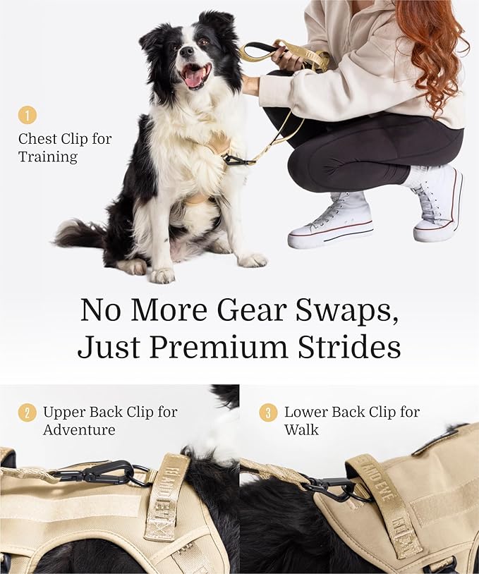 2025 New Edition, Fei & Eve MagEase Dog Harness - 3-Second Magnetic Buckles | 3-Point No-Pull Control | Heavy-Duty 900D Nylon | Dual Safety Handles | Breathable Mesh | Adjustable Fit, Large, Champagne-Mewly Pet
