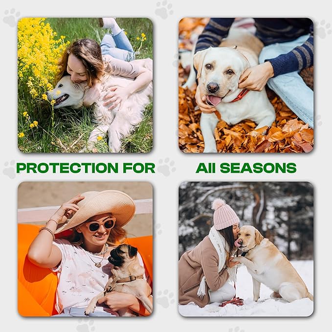 Puppy Essentials Kit Contains Dog Wipes for Paws and Butt, Nourishing Paw Balm, Teeth Cleaning Wipes & Poop Bags Set | Dog Camping Essentials and Travel Accessories-Mewly Pet