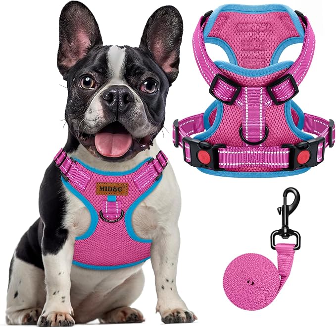 MIDOG No-Pull Dog Harness | Adjustable & Reflective Pet Harness Leash Set for Small Medium Large Dogs Walking, Training| No Choke, Front Clip, Soft Padded Vest with Easy Control Handle - Pink, M-Mewly Pet