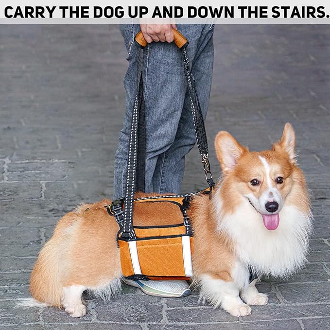 COODEO Mobility Dog Lift Harness, Emergency Carry Sling, Pet Rear Leg Support Rehabilitation Lifts Vest, Dog Carrier for Senior Dogs Joint Injuries, Arthritis (Orange, L)-Mewly Pet