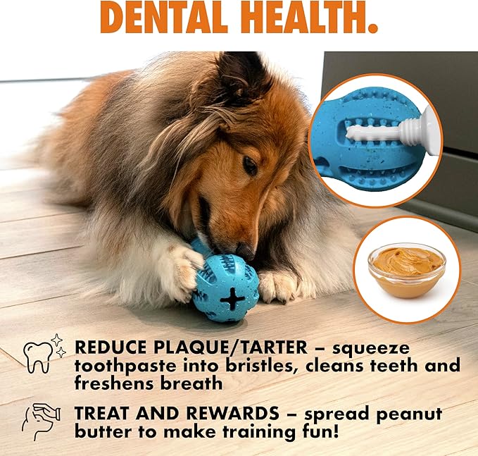 Max Fusion with Nike Grind, Dog Chew Toy, Arlee Weeble Treat Dispensing Toy for Dogs, Durable & Interactive for Pets, M-Mewly Pet