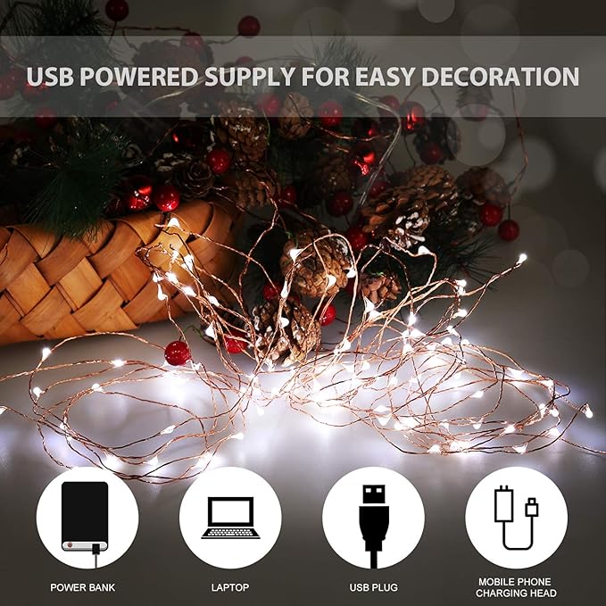 USB LED Fairy String Light, 1 Pack Copper Wire Fairy Lights for Indoor, Bedroom Festival Christmas Wedding Party Patio Decorative Window with USB Interface (16ft./5M,Cool White)