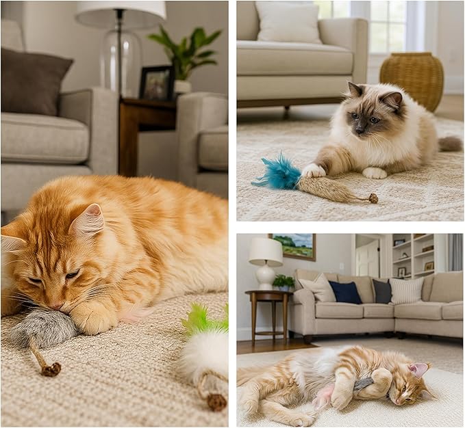 3 Pack Rabbit Fur Catnip Toys with Feathers – Interactive Carrot Cat Toys with Galls Fruit for Indoor Cats and Kittens-Mewly Pet