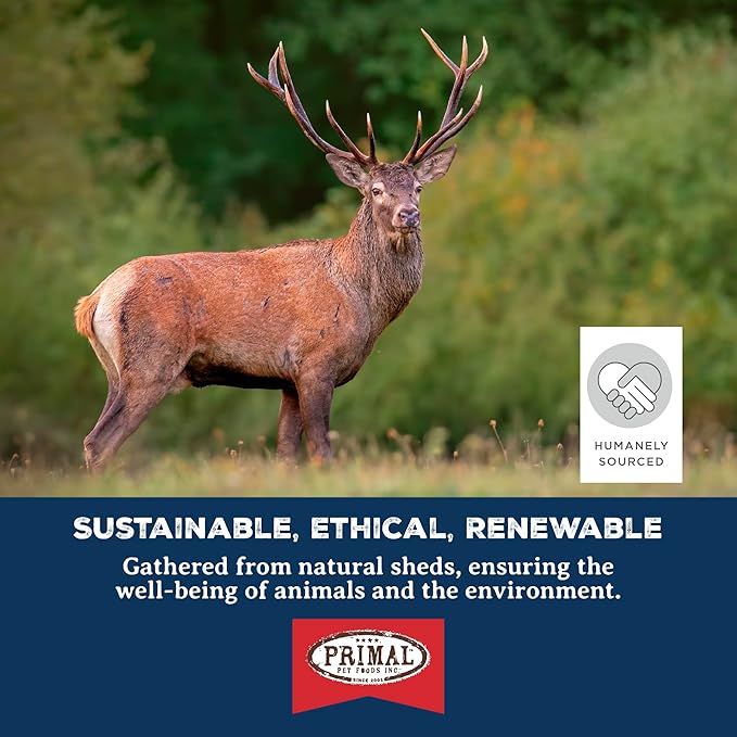 Primal Antlers for Dogs, Grade A Split Stag Antlers for Small Canines up to 15 lb, Natural Chews for Aggressive Chewers, Naturally Shed, Long Lasting Dog Bones, 1 ct-Mewly Pet