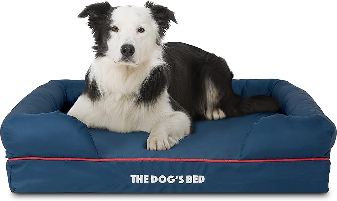 The Dog’s Bed, Large Oxford Blue/Red 36x27 Memory Foam, Pain Relief: Arthritis, Hip & Elbow Dysplasia, Post Surgery, Lameness, Supportive, Calming, Waterproof Washable Cover, Veterinary Approved-Mewly Pet