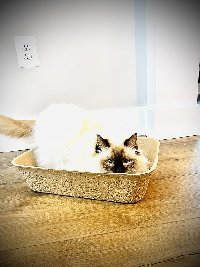 Midlee Disposable Cat Litter Boxes Pack of 5- Travel Portable Pet Tray Liner Pan-Mewly Pet