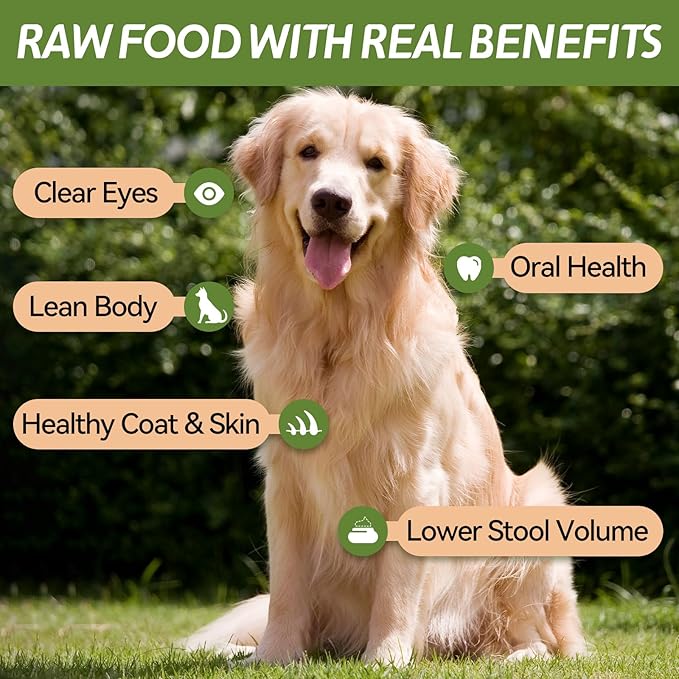 OPET Freeze Dried Chicken Cat Treats, Single Ingredient Grain Free High Protein Pet Food for Cats and Dogs, Healthy Training Snacks, Freeze Dried Cat Food (Chicken Breast, 5.92 Ounce)-Mewly Pet