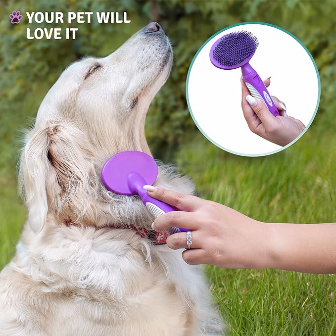 Round Bristle Pet Brush for Dogs and Cats - Soft Dog Brush for Grooming Short or Long Hair - Gentle Tool for Sensitive Skin Removes Dander, Dirt, and Detangles (Purple)-Mewly Pet