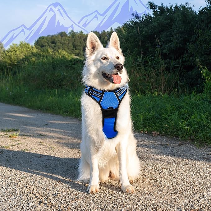 Eagloo Dog Harness for Large Dogs, No Pull Service Vest with Reflective Strips and Control Handle, Adjustable and Comfortable for Walking, No Choke Pet Harness with 2 Metal Rings, Blue, XL-Mewly Pet