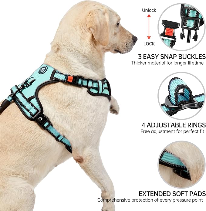 NESTROAD No Pull Dog Harness,Adjustable Oxford Dog Vest Harness with Leash,Reflective No-Choke Pet Harness with Easy Control Soft Handle for Small Dogs(Small,Turquoise)-Mewly Pet