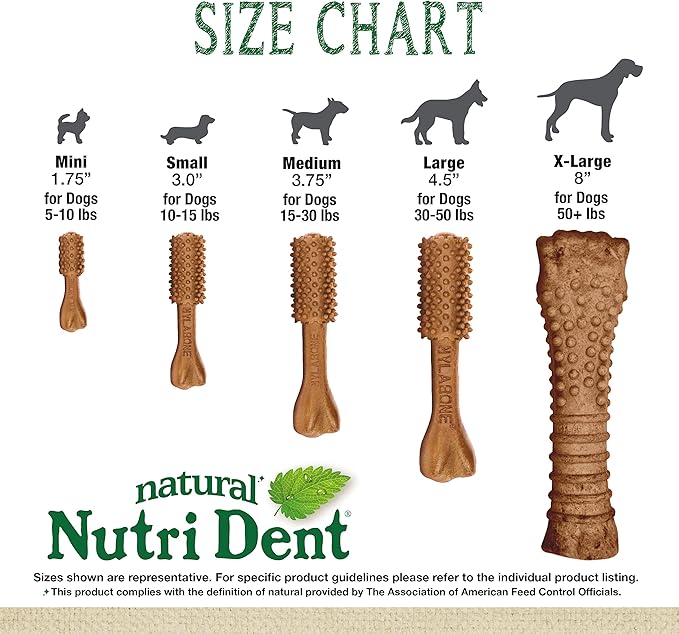 Nylabone Nutri Dent Dog Dental Chews - Natural Dog Teeth Cleaning & Breath Freshener - Dental Treats for Dogs - Filet Mignon Flavor, Mini (32 Count)-Mewly Pet
