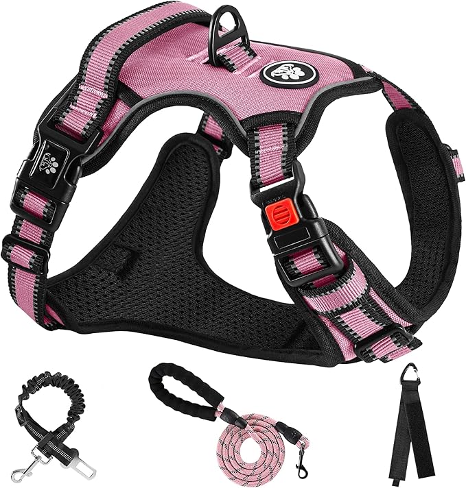 NESTROAD No Pull Dog Harness,Adjustable Oxford Dog Vest Harness with Leash,Reflective No-Choke Pet Harness with Easy Control Soft Handle for Small Dogs(Small,Pink)-Mewly Pet