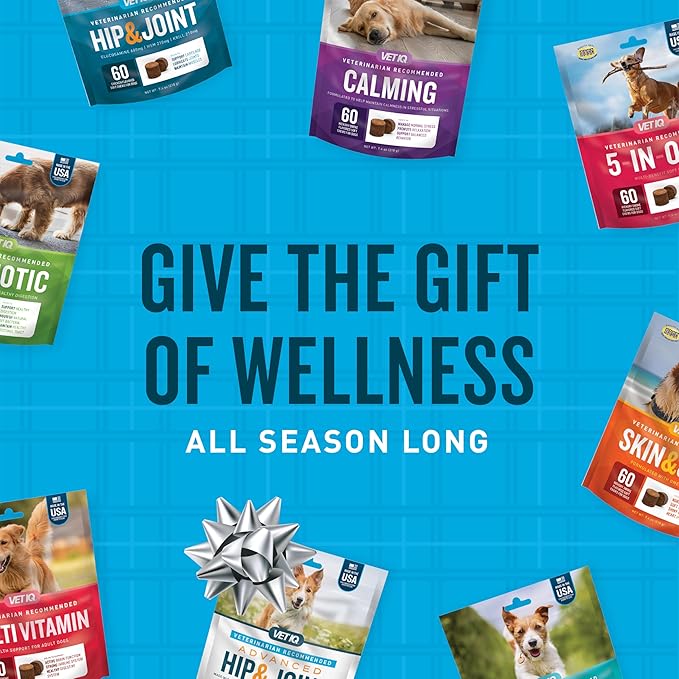 VetIQ Multivitamin Supplement for Dogs, Supports Active Brain Function, Immune System, and Digestive System, Hickory Smoke Flavored Dog Multivitamin, Made in The USA, 60 Count (Pack of 2)-Mewly Pet