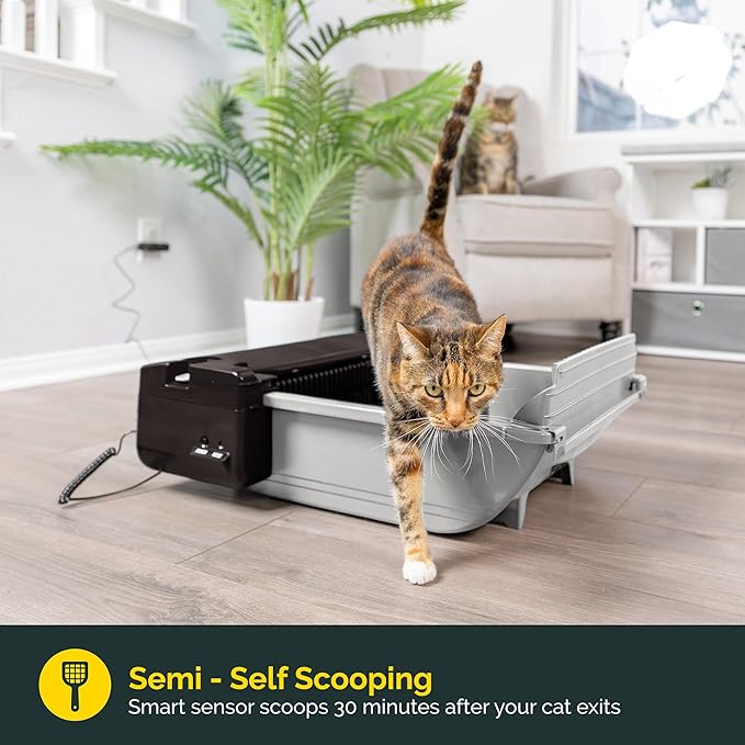 Pet Zone Self Cleaning Semi Automatic Cat Litter Box - Smart Scoop Cat Litter Box with 6 Bags & Carbon Filter for Up to Two Cats 6-16 Pounds-Mewly Pet