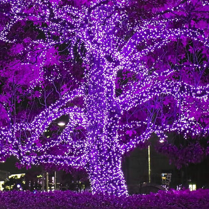 Wintergreen Lighting 70 Piece 5mm LED Purple Lights, 24' String Lights for Holiday Decorations, Indoor-Outdoor Use, UL & Energy Star Certified