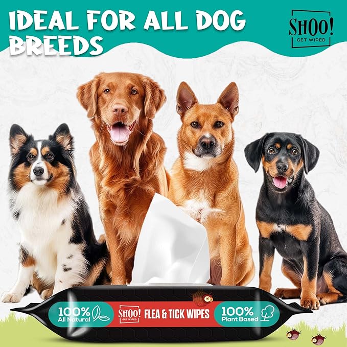 Shoo! Flea & Tick Wipes for Dogs | Convenient, Easy On-The-Go Protection | Plant Based, Natural Oils, Chemical Free | Repels & Prevents | 50 XL Wipes (2 Pack) | Original -Lavender-Mewly Pet
