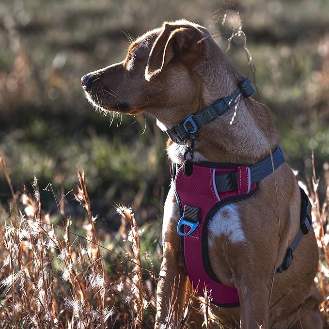 Embark Adventure Dog Harness, Reflective Trim No Pull Dog Harness for Large Dogs - Military Grade Nylon, Front Clip with Gel Lined Handle.-Mewly Pet