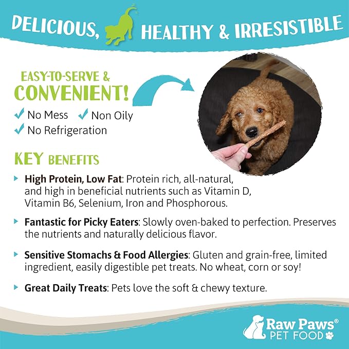 Raw Paws Grain-Free Soft Stick Treats for Dogs & Cats - Beef Recipe, 6-oz - Made in USA Beef Jerky Treats - Cat Sticks - Chewy Dog Jerky Treats - Dog Sausage - Soy, Grain Free-Mewly Pet
