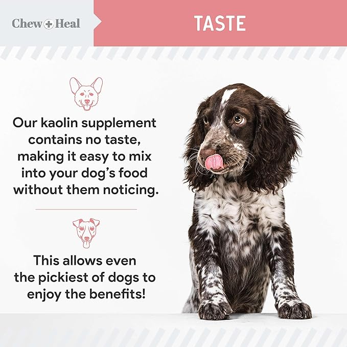 Chew + Heal Labs Anti Diarrhea for Dogs - 12 oz. of Stop The Diarrhea Liquid Supplement with Kaolin for Upset Stomach Relief - Made in The USA-Mewly Pet