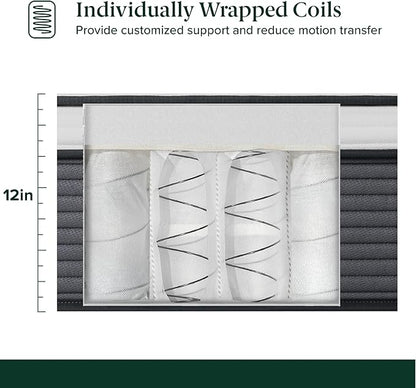 ZINUS 12 Inch True Support Hybrid Mattress [New Version], Full, Fiberglass Free, Medium Feel, Motion Isolation, Certified Safe Foams & Fabric, Mattress in A Box